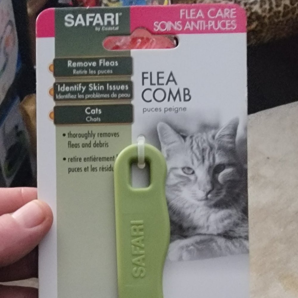 cat flea comb